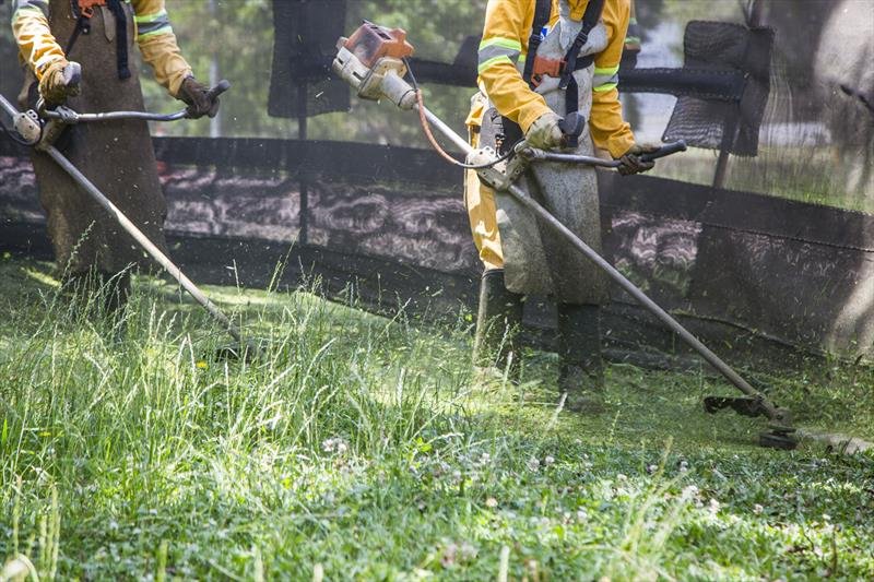 Curitiba adota nova regra para limpeza de terrenos particulares