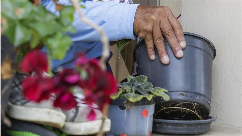 Verão exige cuidados redobrados para evitar a dengue