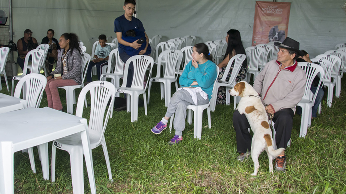 Prefeitura de Curitiba abre agendamentos para mutirão de castração gratuita de cães e gatos