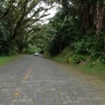 estrada_da_graciosa_02.jpg