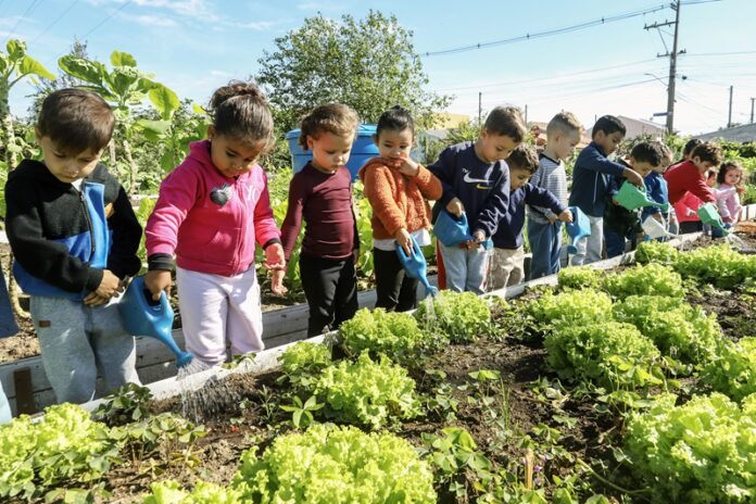 Horta urbana de Curitiba fornece alimentação saudável para a merenda de 90 crianças