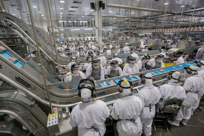 Mercado de empregos aquecido: Paraná tem 23,1 mil vagas abertas nessa semana