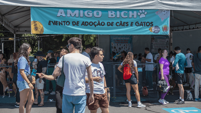 Amigo Bicho terá 50 cães vacinados e microchipados para adoção no Parque Barigui