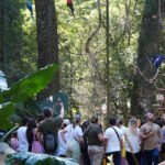 creditos_divulgacao_parque_das_aves_2.jpg