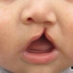 image_large.jpg